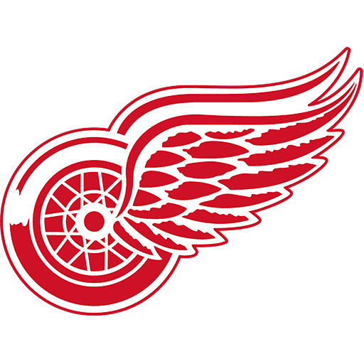 #48 Detroit Red Wings image