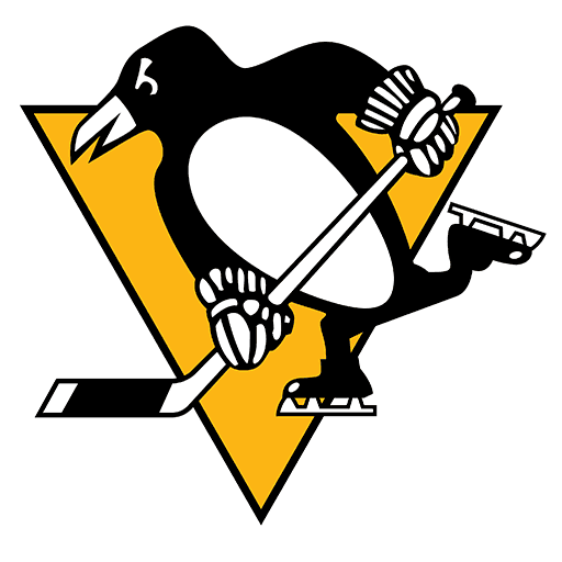 #41 Pittsburgh Penguins image