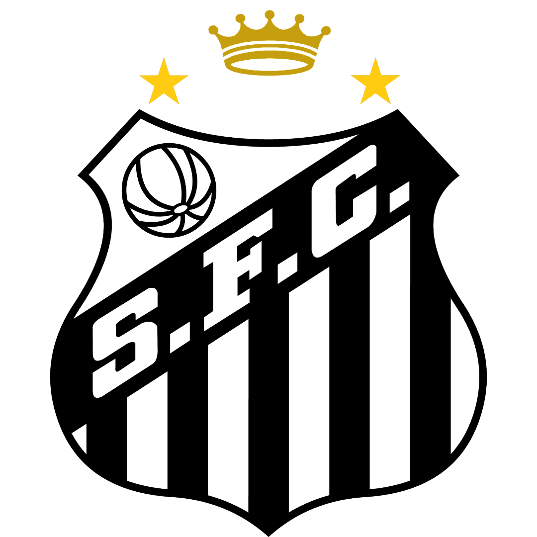 #65 Santos FC image