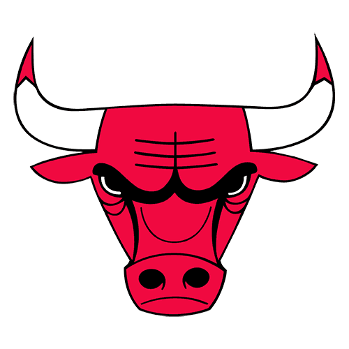 #8 Chicago Bulls image